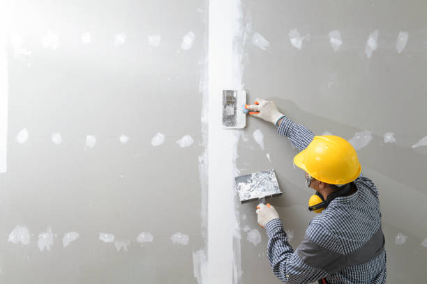 Best Mold Removal for HVAC Installations  in Holly Ridge, NC
