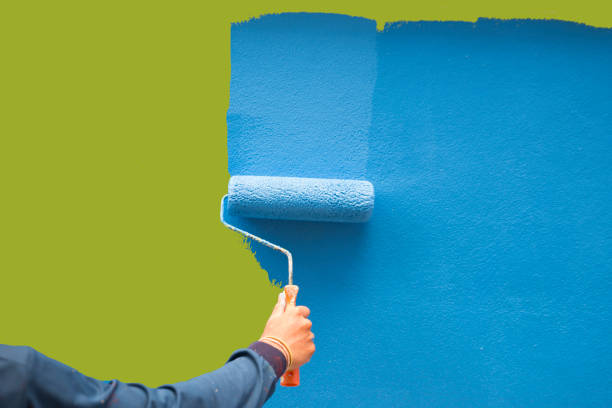 Trusted Holly Ridge, NC Mold Removal Experts